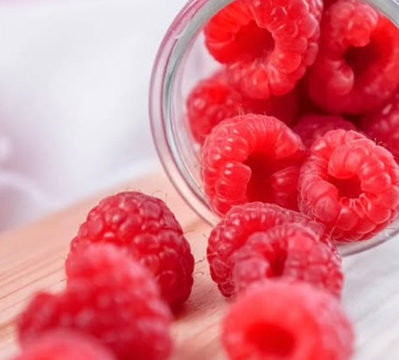 Illustration zum Thema Himbeeren in der Schwangerschaft