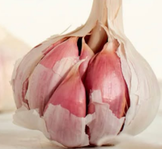 Illustration zum Thema Knoblauch in der Schwangerschaft