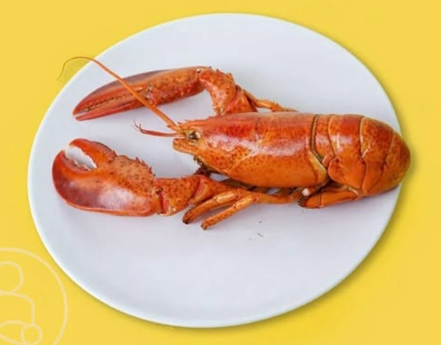 Illustration zum Thema Meeresfrüchte in der Schwangerschaft